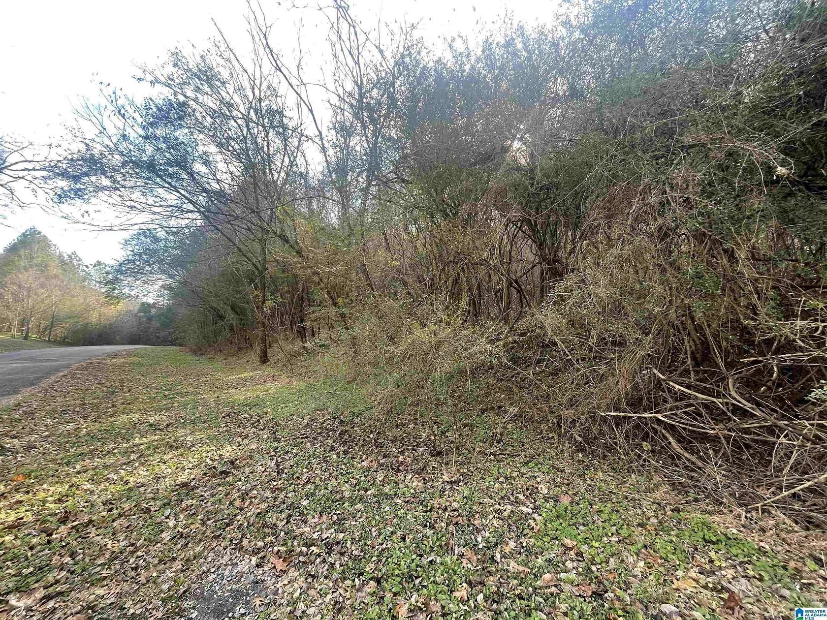 2 Acres of Land for Sale in Graysville, Alabama