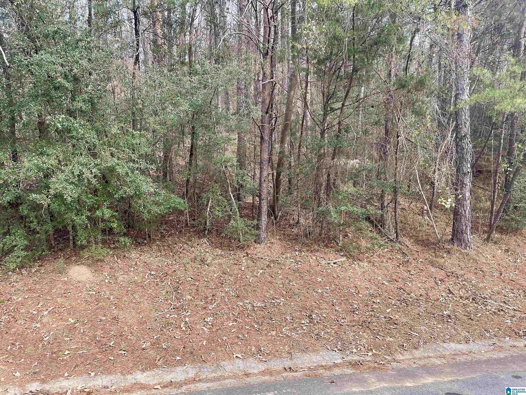 1 Acre of Residential Land for Sale in Birmingham, Alabama