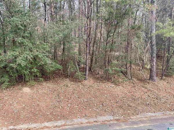 1 Acre of Residential Land for Sale in Birmingham, Alabama