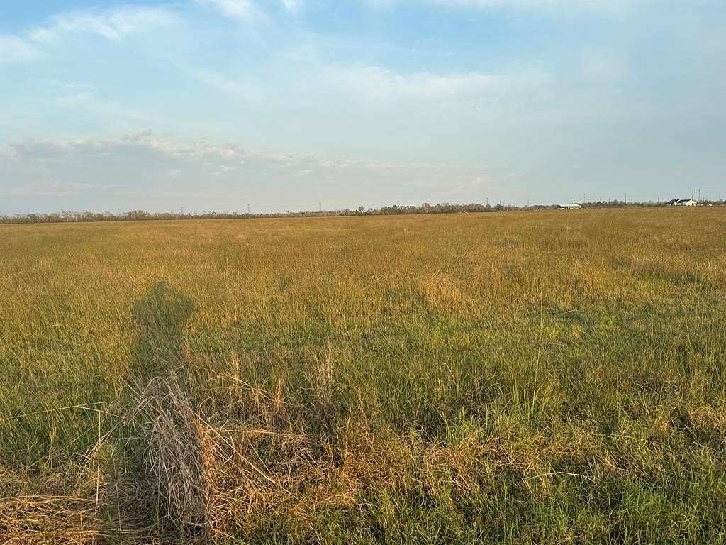 40 Acres of Land for Sale in Angleton, Texas