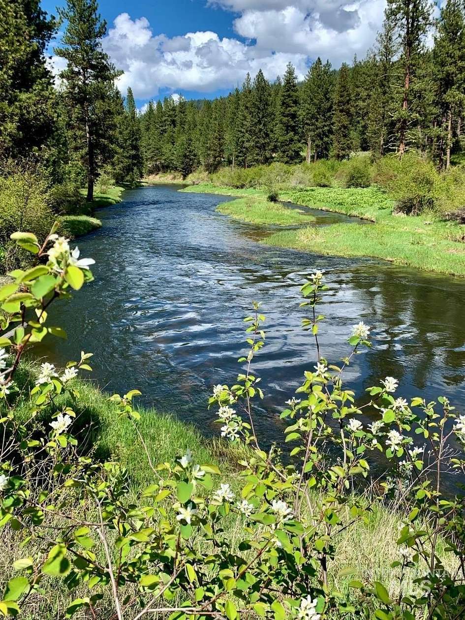 50 Acres of Recreational Land for Sale in New Meadows, Idaho