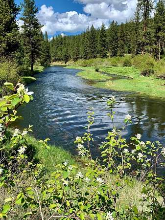 50 Acres of Recreational Land for Sale in New Meadows, Idaho