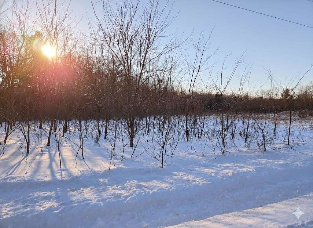 5.67 Acres of Residential Land for Sale in Necedah, Wisconsin