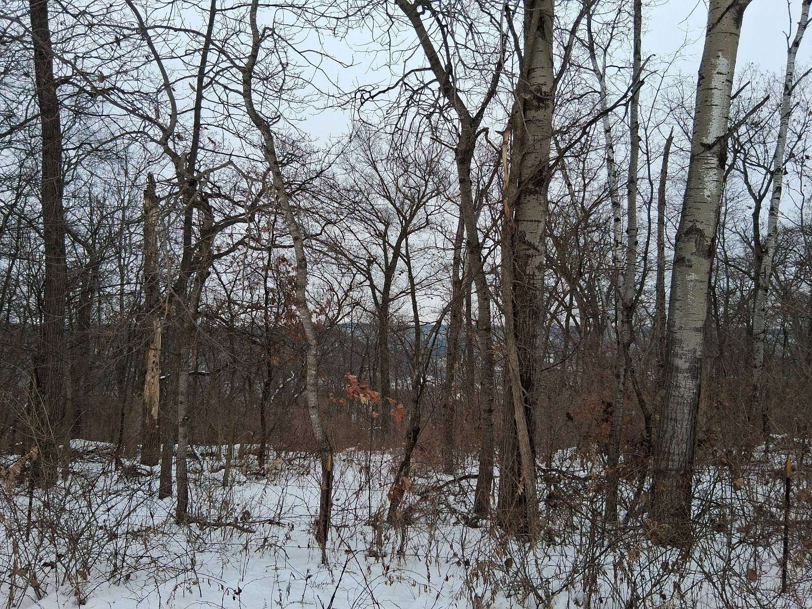 6.3 Acres of Land for Sale in Gays Mills, Wisconsin