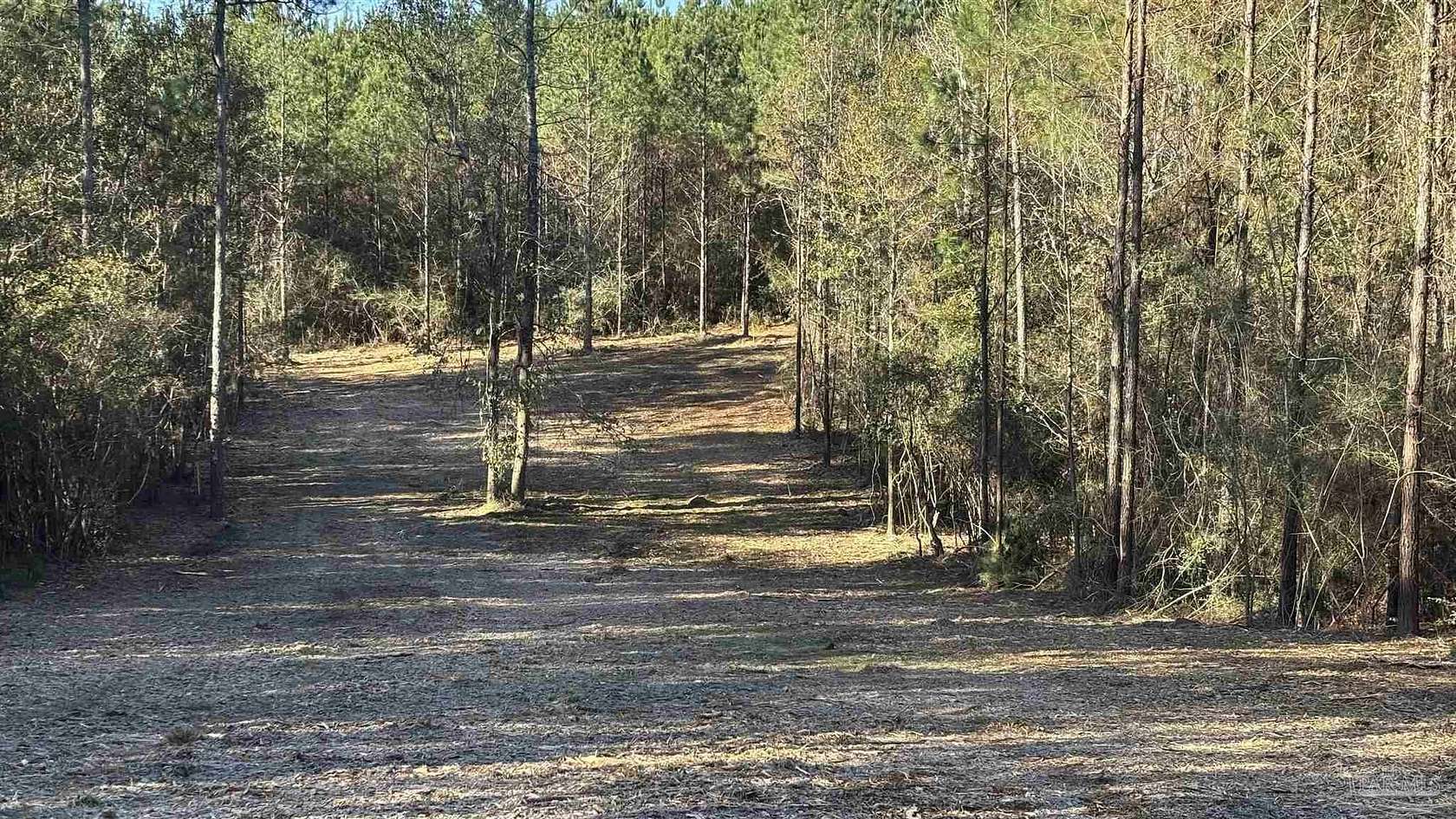 4.12 Acres of Residential Land for Sale in Allentown, Florida