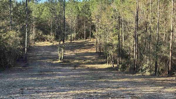 4.12 Acres of Residential Land for Sale in Allentown, Florida