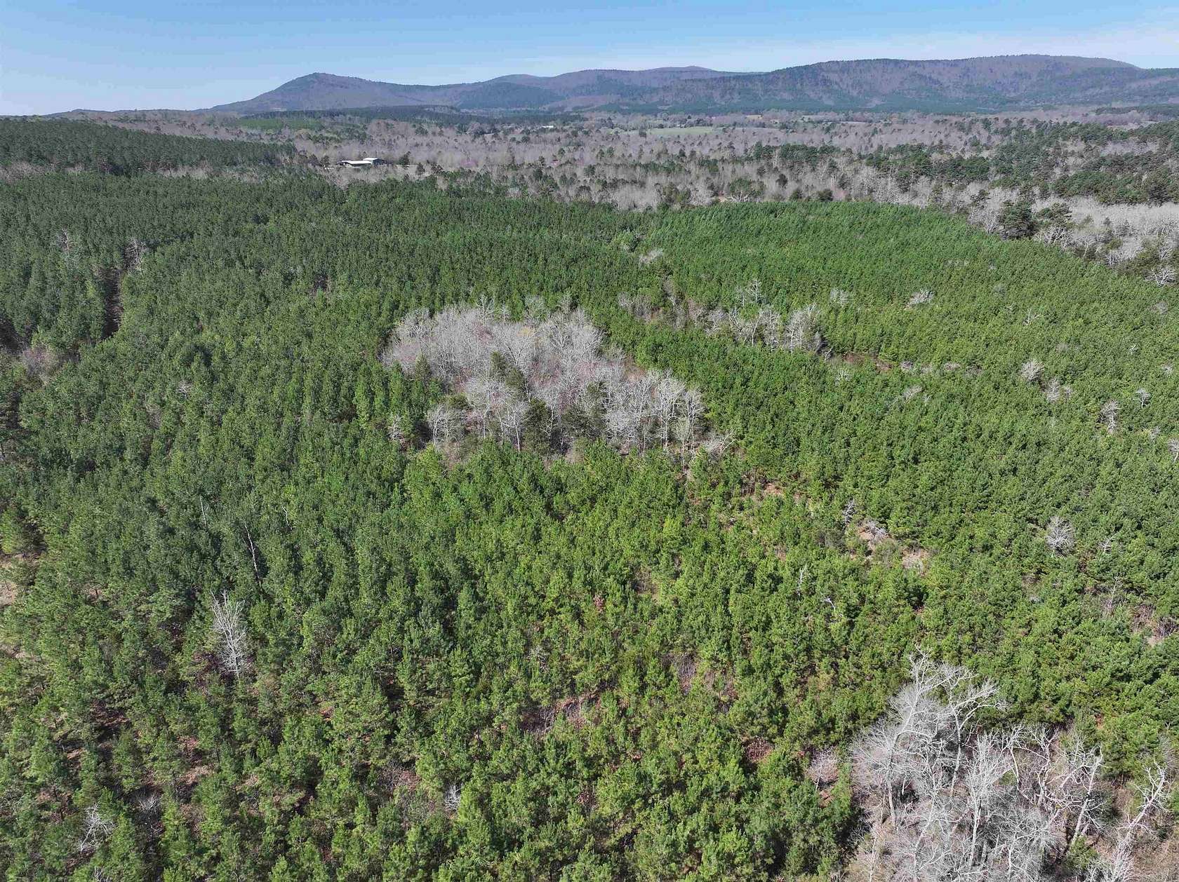 55 Acres of Recreational Land for Sale in Mena, Arkansas