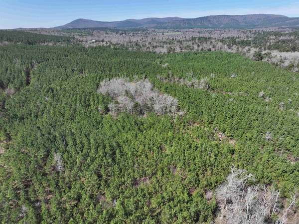 55 Acres of Recreational Land for Sale in Mena, Arkansas