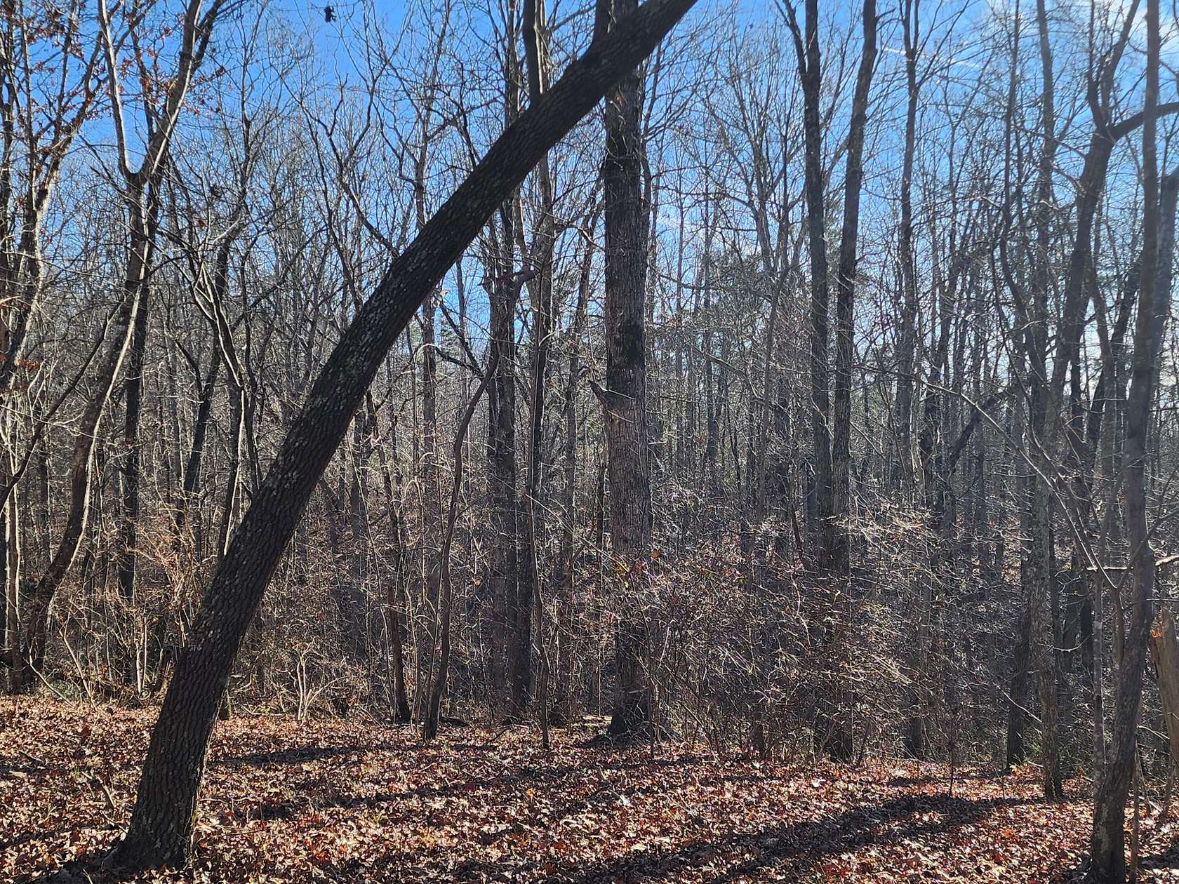 5.34 Acres of Residential Land for Sale in Mentone, Alabama
