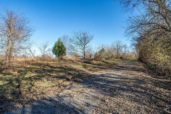 31 Acres of Agricultural Land for Sale in Tyler, Texas