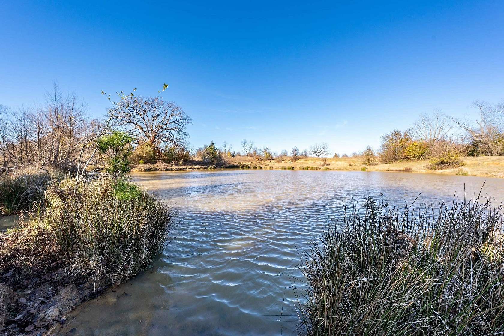 28 Acres of Agricultural Land for Sale in Tyler, Texas