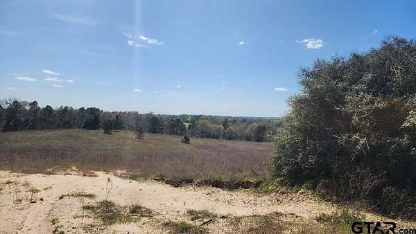 73.5 Acres of Land for Sale in Palestine, Texas
