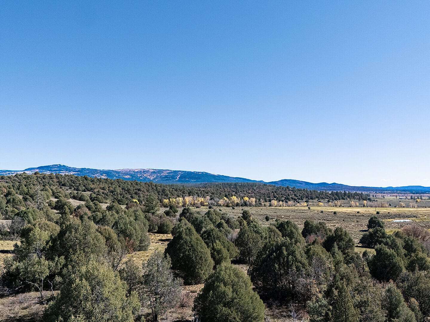 270 Acres of Recreational Land & Farm for Sale in Tierra Amarilla, New Mexico