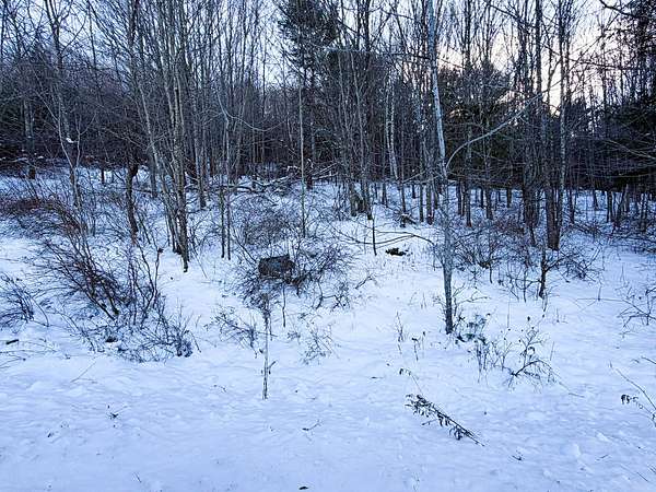 2.1 Acres of Land for Sale in Windham, New York