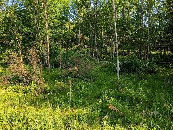 2.1 Acres of Land for Sale in Windham, New York