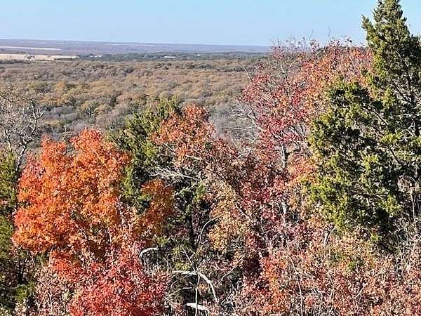 13.4 Acres of Land for Sale in Desdemona, Texas
