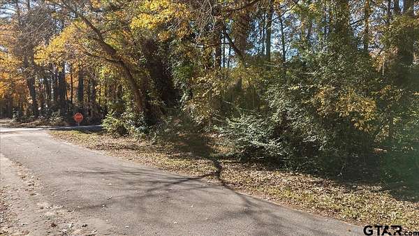 0.19 Acres of Residential Land for Sale in Bullard, Texas