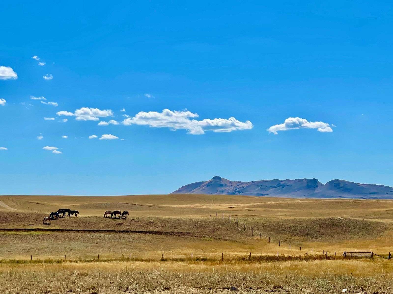 160 Acres of Land for Sale in Havre, Montana