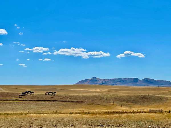 160 Acres of Land for Sale in Havre, Montana
