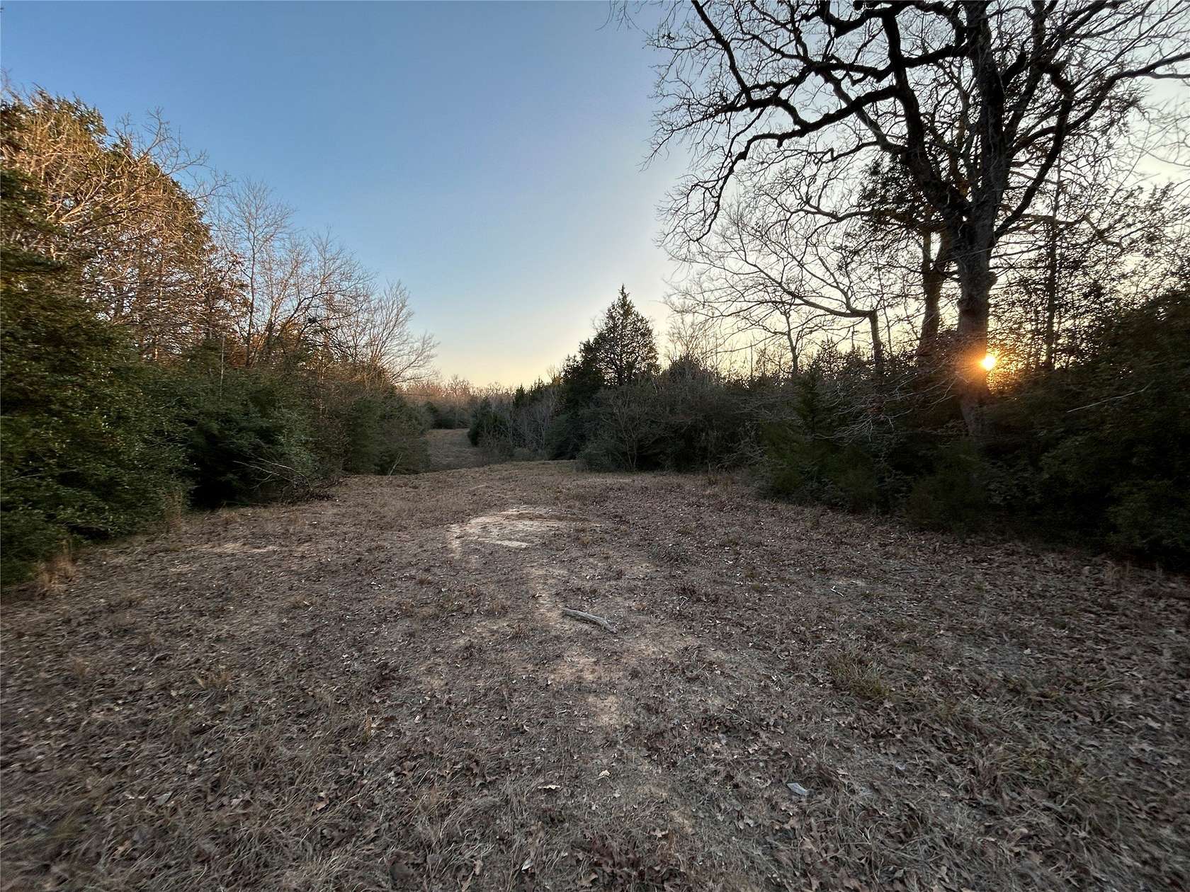 109 Acres of Land for Sale in Fairfield, Texas