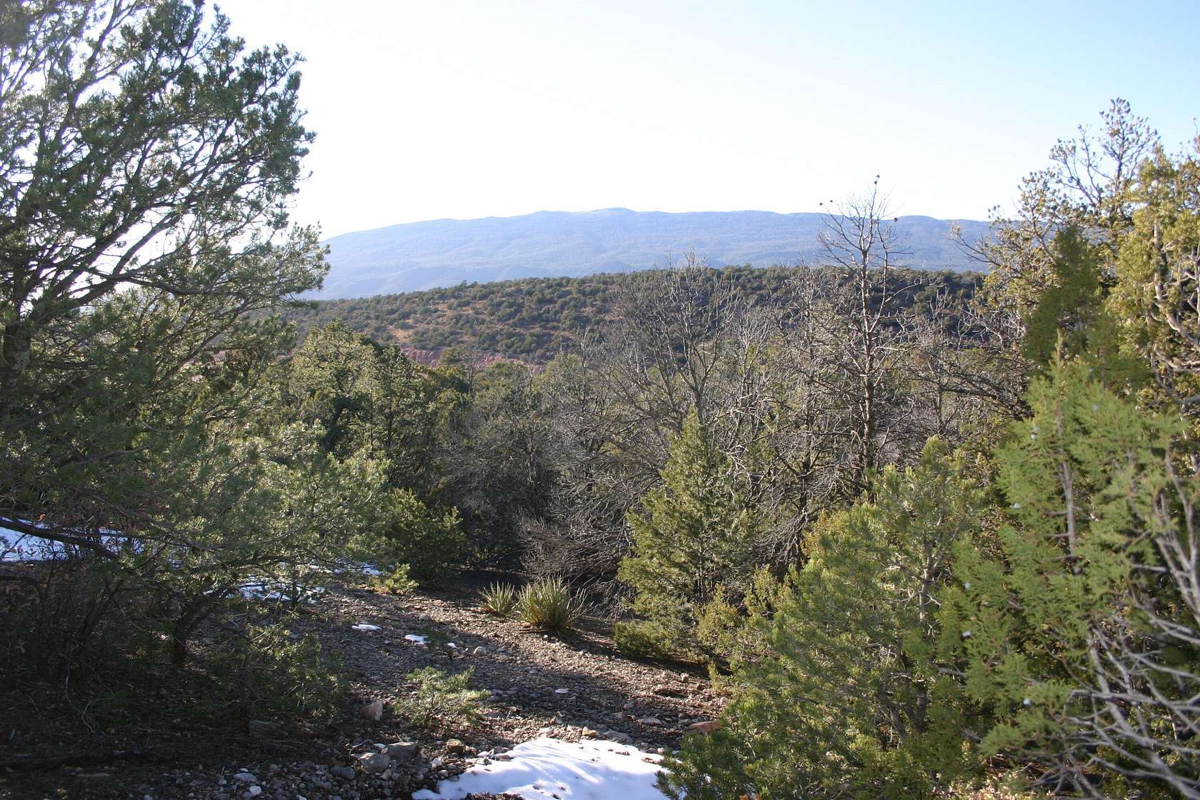 0.99 Acres of Residential Land for Sale in Tijeras, New Mexico