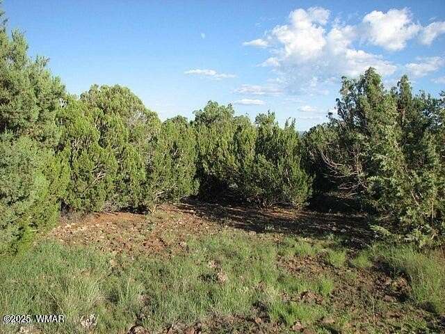 173 Acres of Recreational Land for Sale in Heber, Arizona