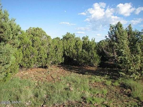 173 Acres of Recreational Land for Sale in Heber, Arizona