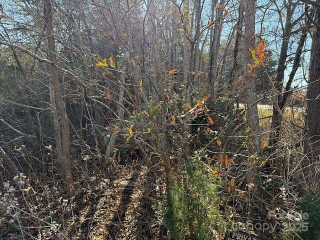 5.14 Acres of Commercial Land for Sale in Rutherfordton, North Carolina