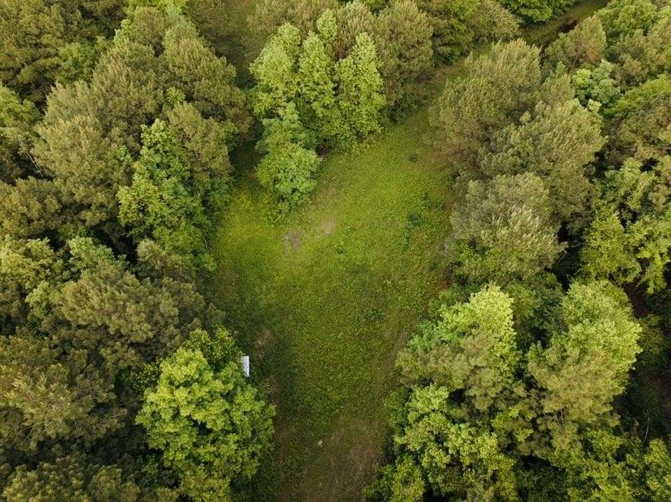 73.7 Acres of Recreational Land for Sale in Bloomburg, Texas