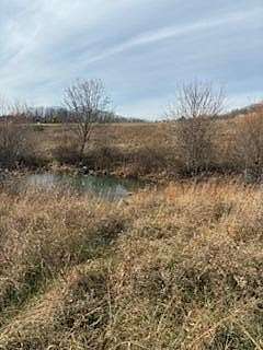 120 Acres of Land for Sale in Annville, Kentucky