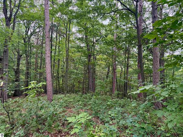 0.01 Acres of Residential Land for Sale in Glen Arbor, Michigan