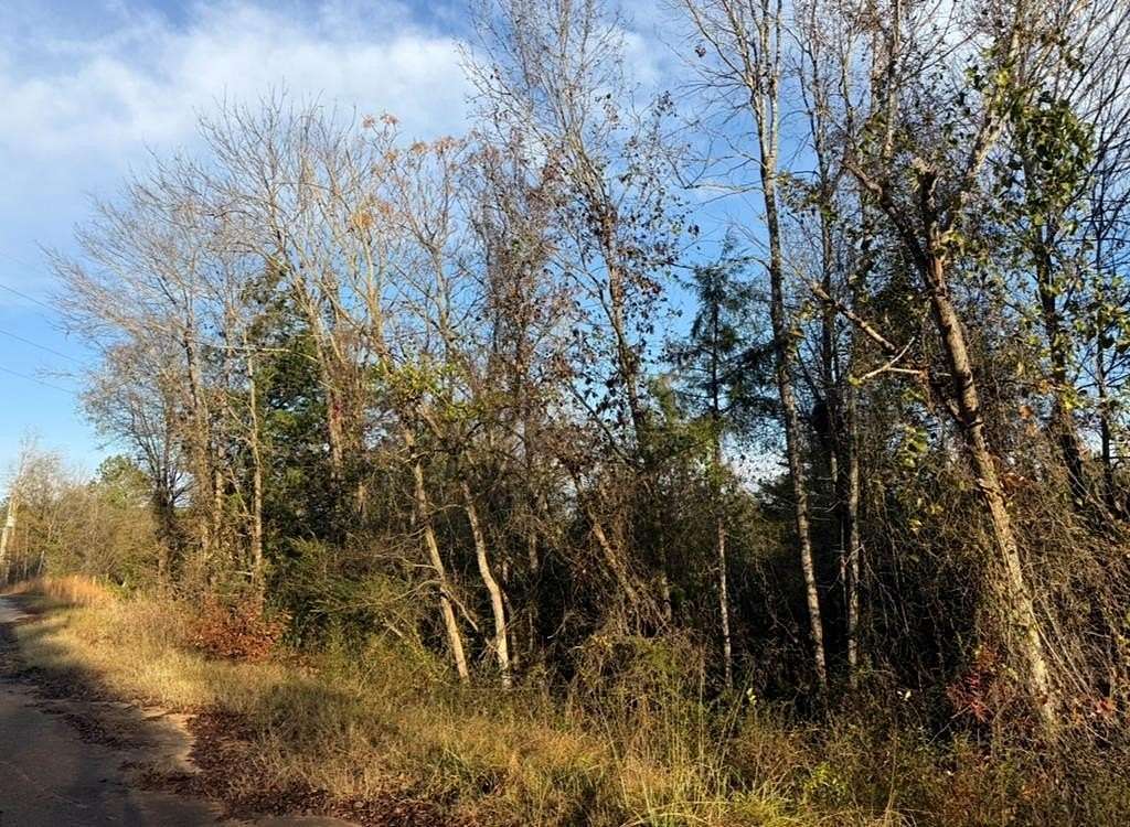 9.2 Acres of Residential Land for Sale in Calhoun Falls, South Carolina