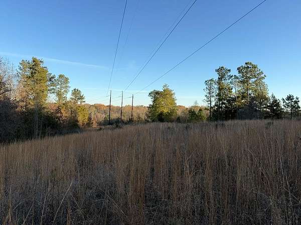 9.2 Acres of Residential Land for Sale in Calhoun Falls, South Carolina
