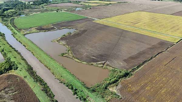 75.9 Acres of Recreational Land for Auction in Craig, Missouri