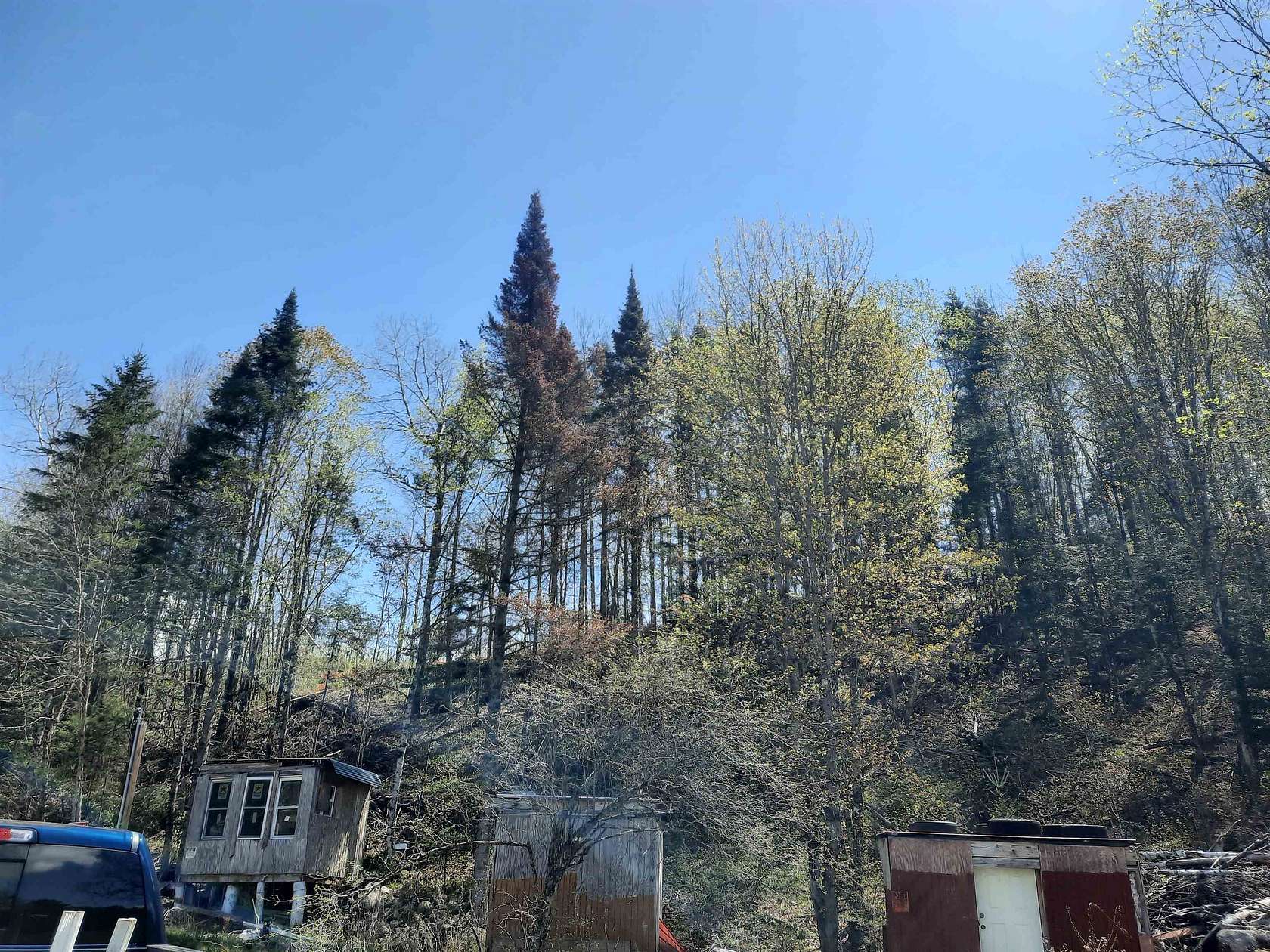14.1 Acres of Land for Sale in Columbia, New Hampshire