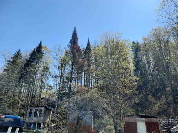 14.1 Acres of Land for Sale in Columbia, New Hampshire