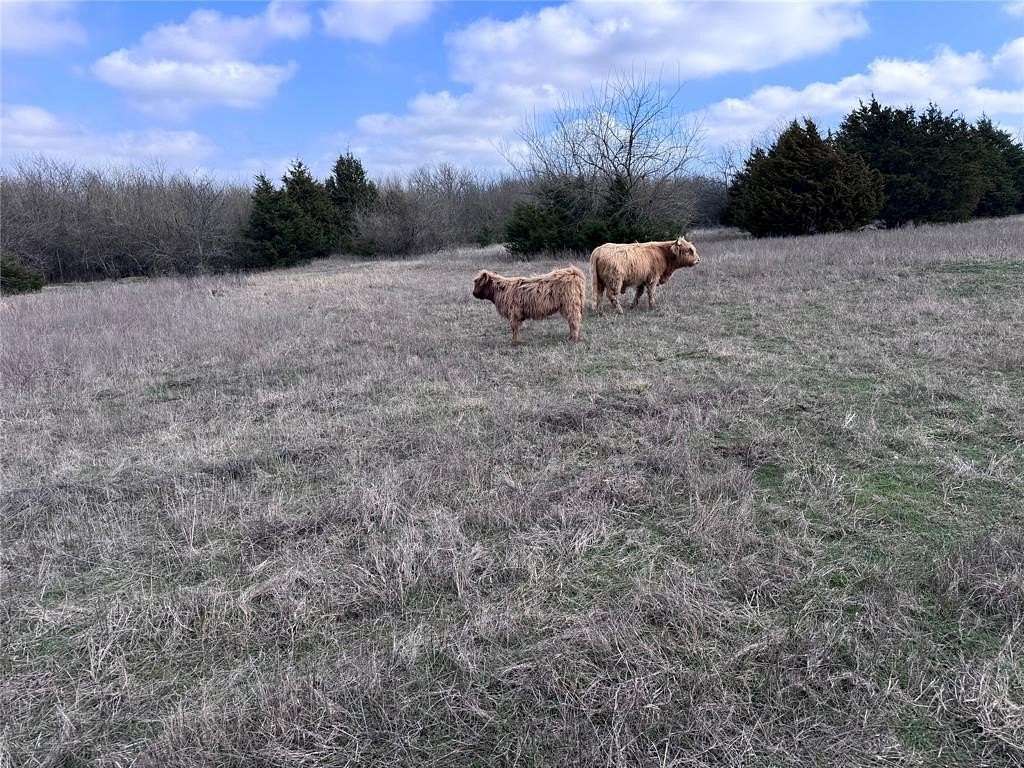 37 Acres of Agricultural & Residential Land for Sale in Campbell, Texas