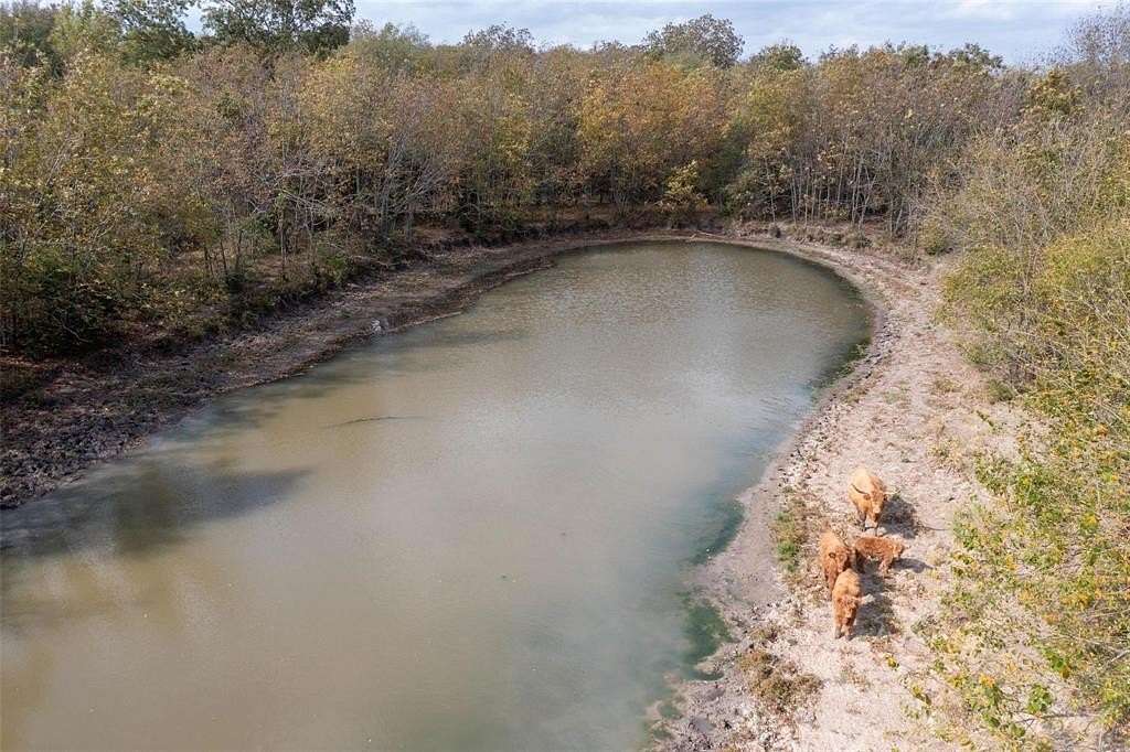 40 Acres of Agricultural & Residential Land for Sale in Campbell, Texas