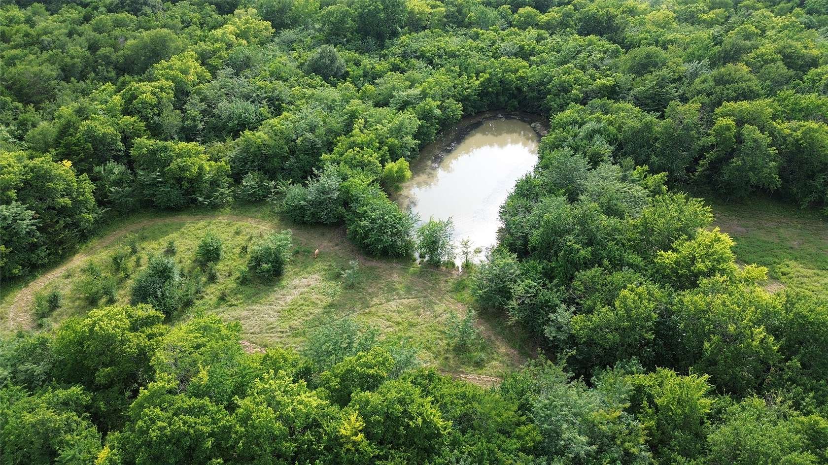 40 Acres of Land for Sale in Campbell, Texas
