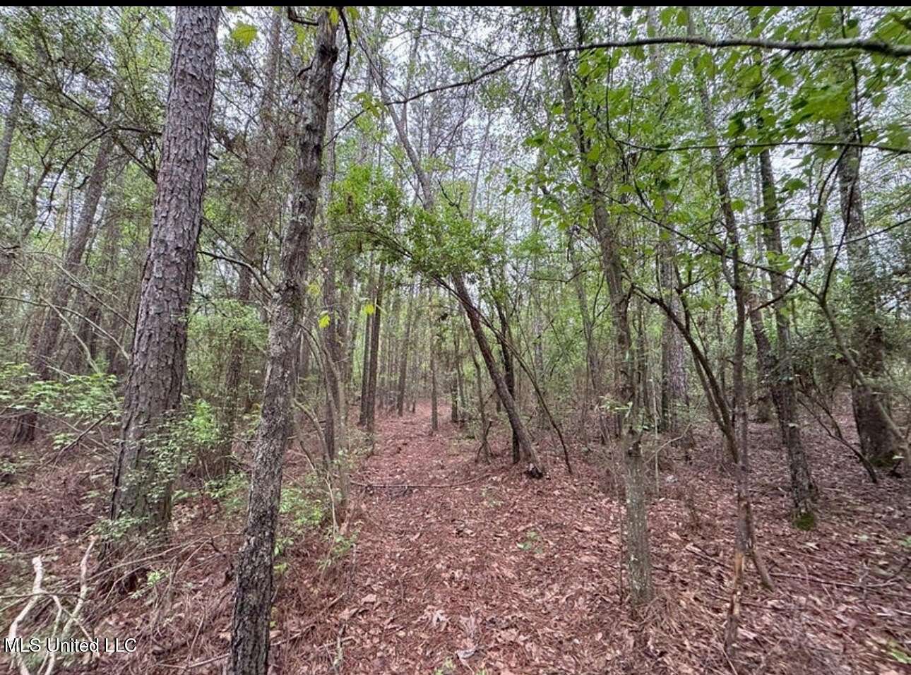 9 Acres of Residential Land for Sale in Monticello, Mississippi