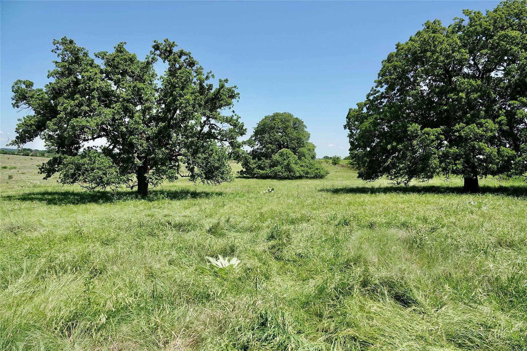 34 Acres of Recreational & Residential Land for Sale in Priddy, Texas