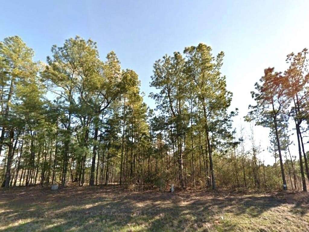 16.9 Acres of Recreational Land for Sale in Marshall, Texas