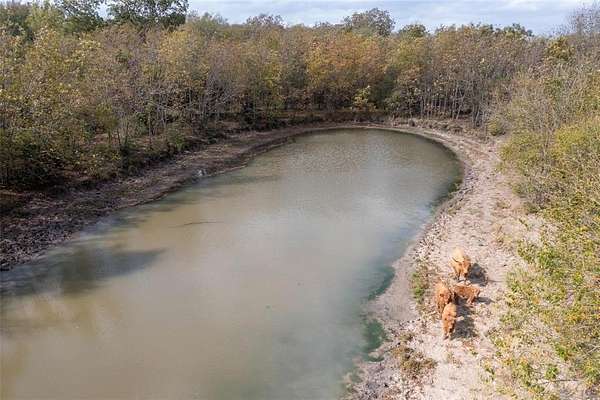 20 Acres of Agricultural & Residential Land for Sale in Campbell, Texas