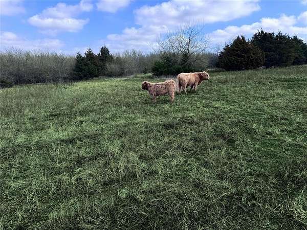 20 Acres of Agricultural & Residential Land for Sale in Campbell, Texas