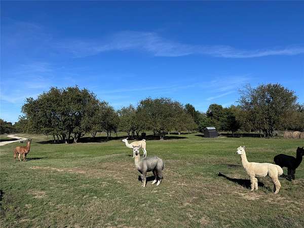 20 Acres of Land for Sale in Campbell, Texas