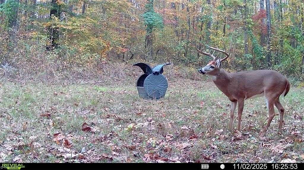 34.5 Acres of Recreational Land for Sale in Reidsville, North Carolina