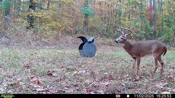 34.5 Acres of Recreational Land for Sale in Reidsville, North Carolina