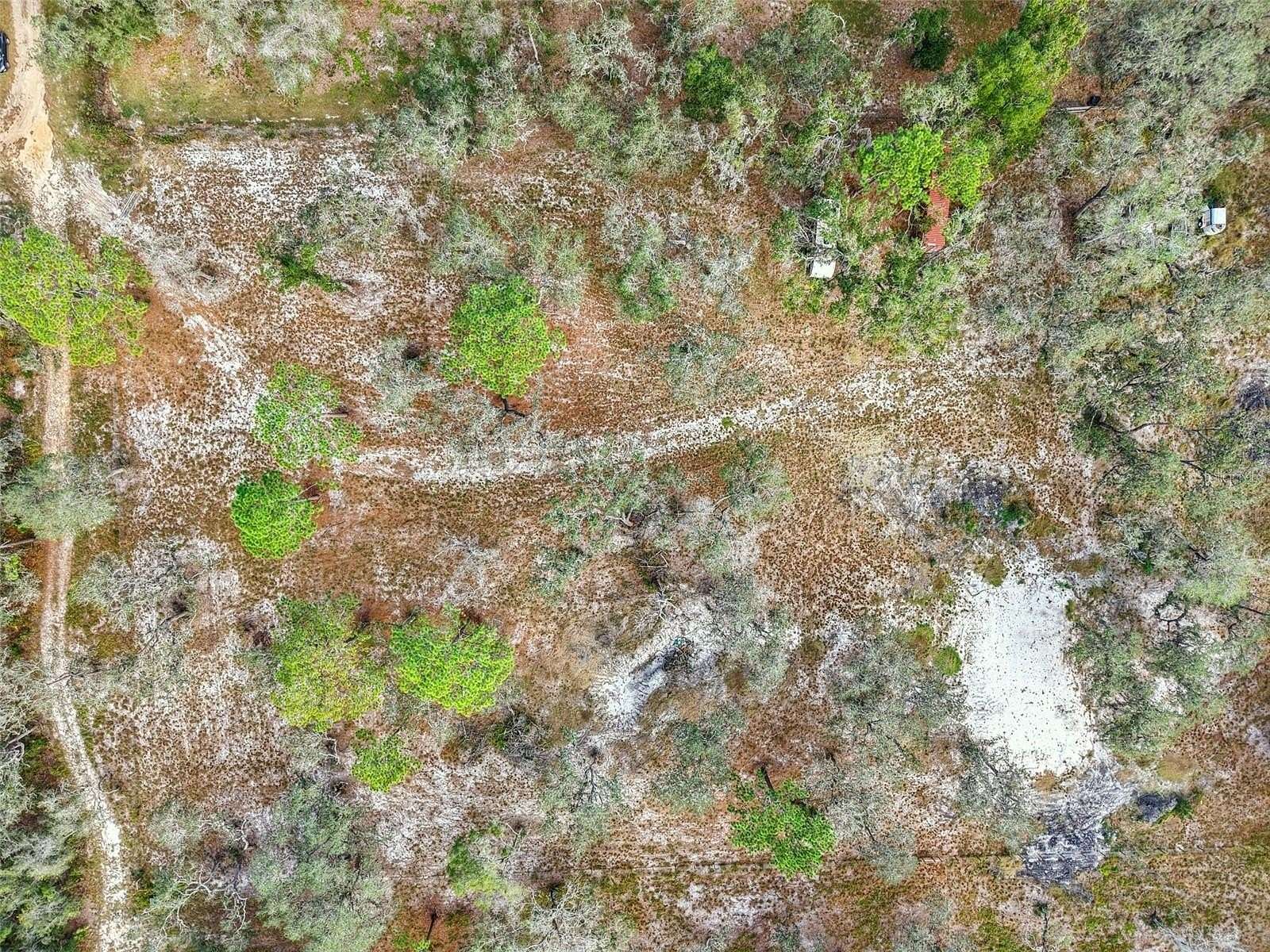 4.69 Acres of Residential Land for Sale in Leesburg, Florida