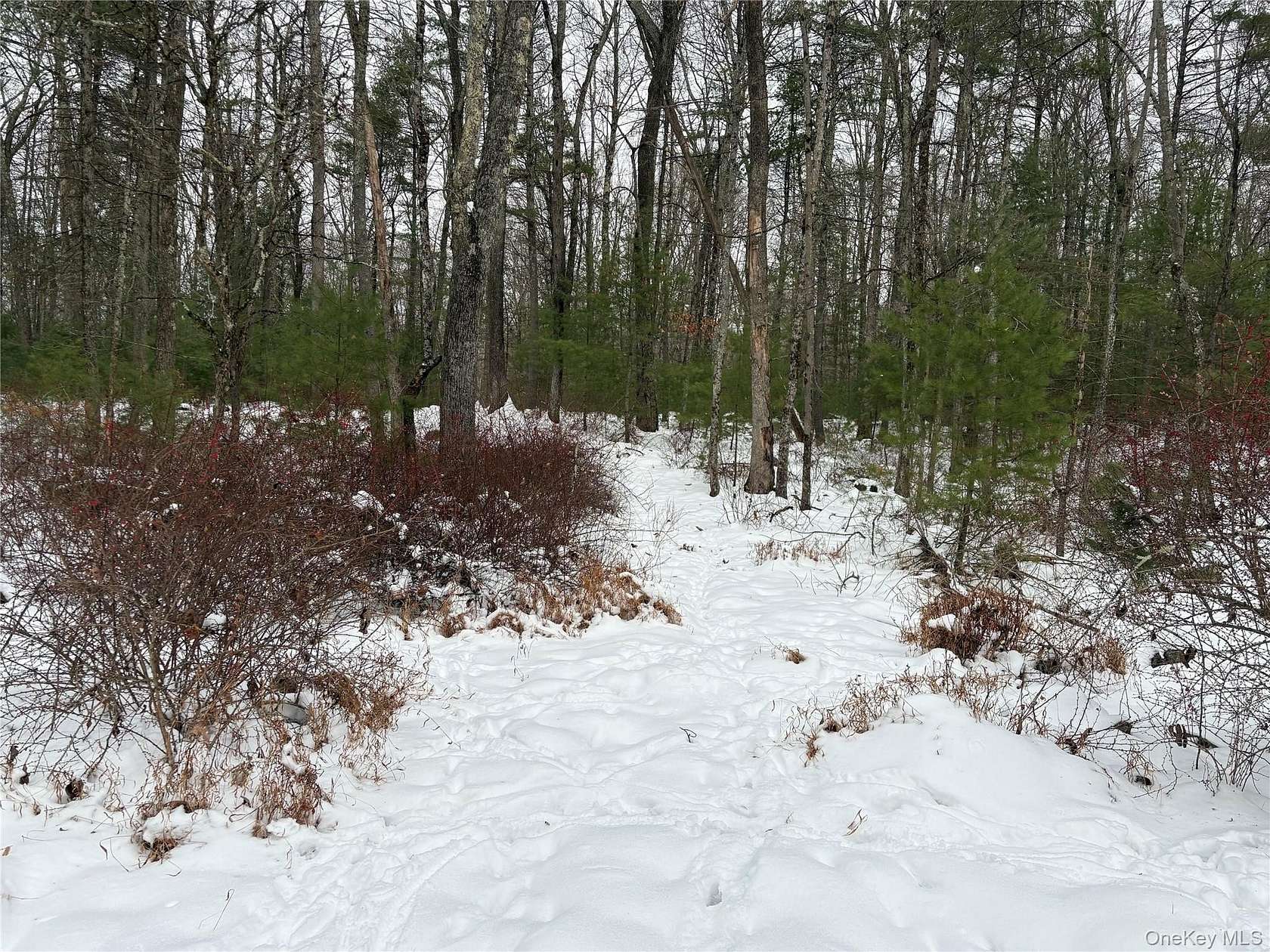 37 Acres of Recreational Land for Sale in Eldred, New York