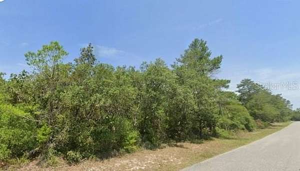 1.58 Acres of Residential Land for Sale in Eustis, Florida